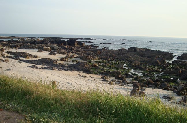 ID82 - Julho - Área rochosa da praia de Carreço que se descobre entre marés. Viana do Castelo